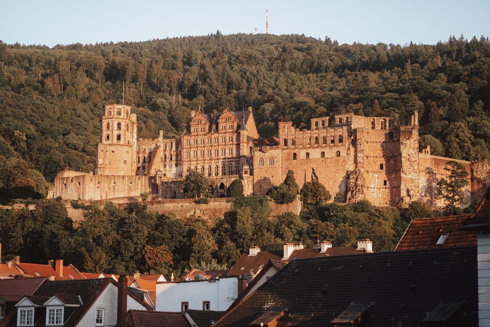 The castle in the golden hour