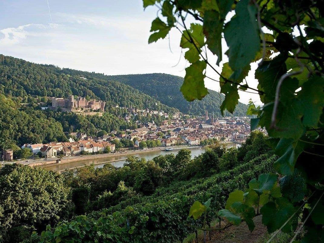 Fasskeller & Vinothek