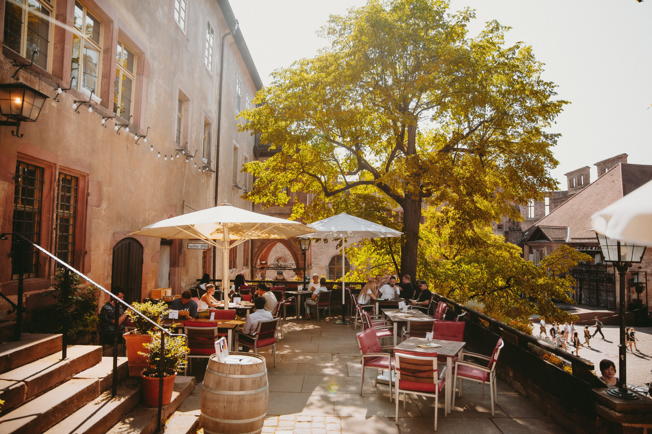 Auf der Terrasse